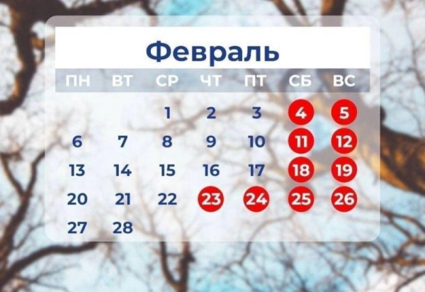 Как отдыхаем в феврале в 2025 году: выходные и праздники, дни отдыха у школьников